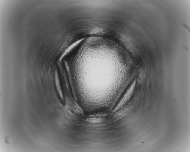 X0000097780273200803211805