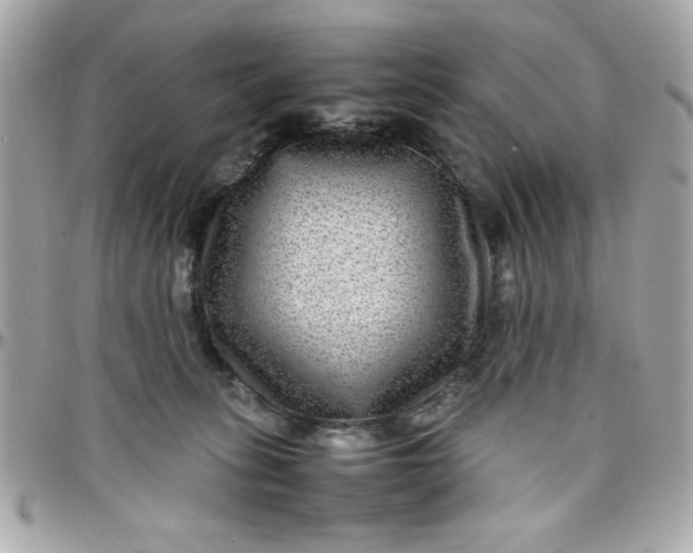 X0000097780275200803211805