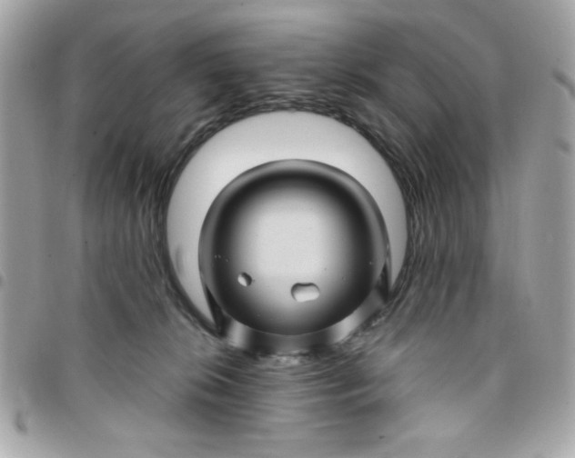 X0000097780276200803211805