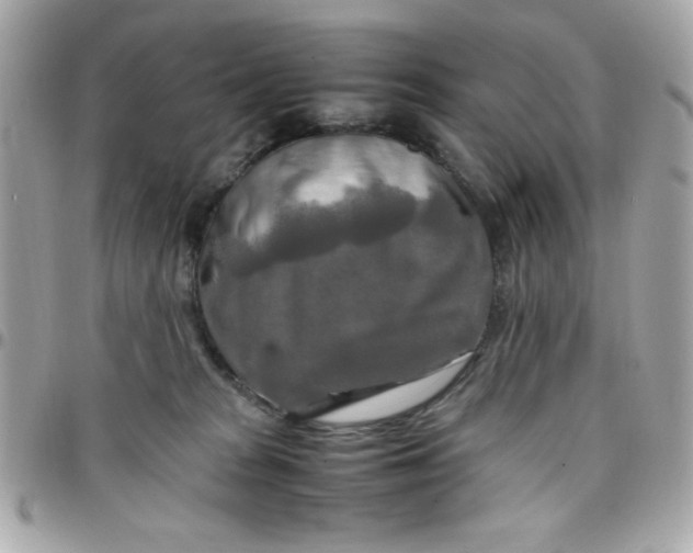 X0000097780277200803211805