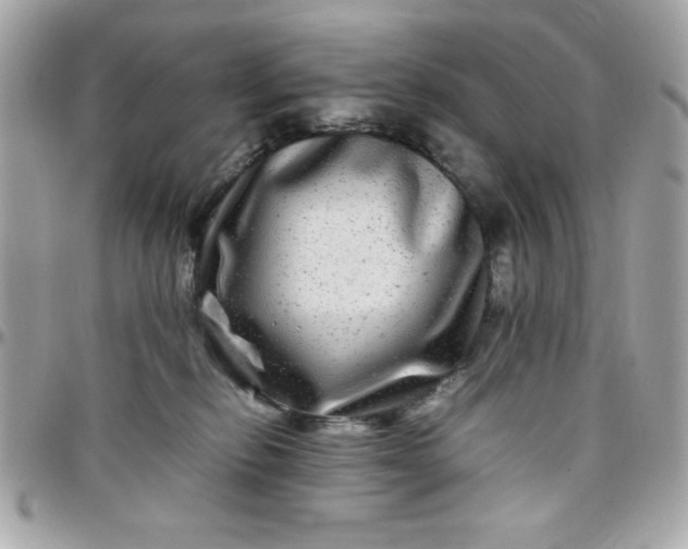 X0000097780278200803211805