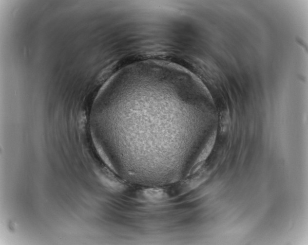 X0000097780279200803211805