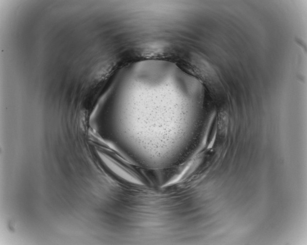 X0000097780280200803211805