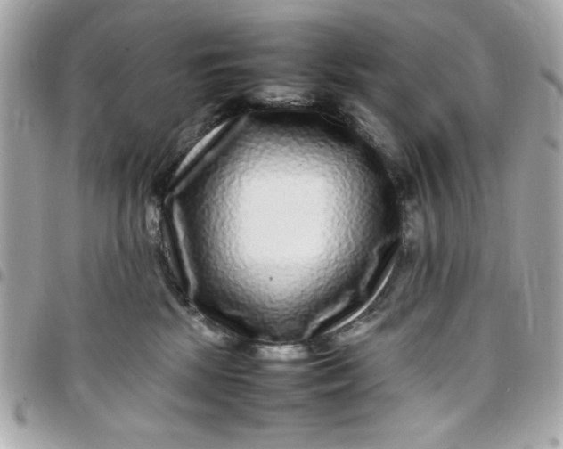 X0000097780281200803211805