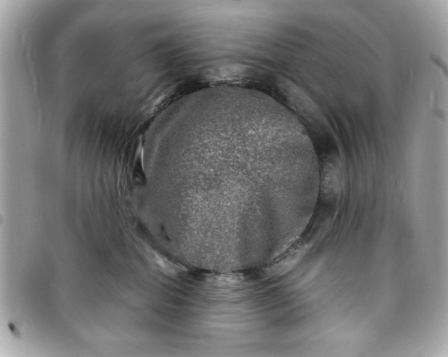 X0000097780282200803211805