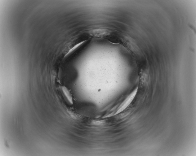 X0000097780283200803211805