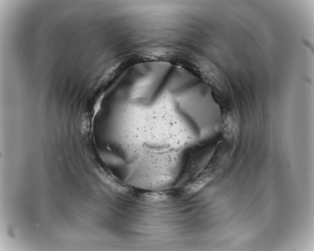 X0000097780284200803211806