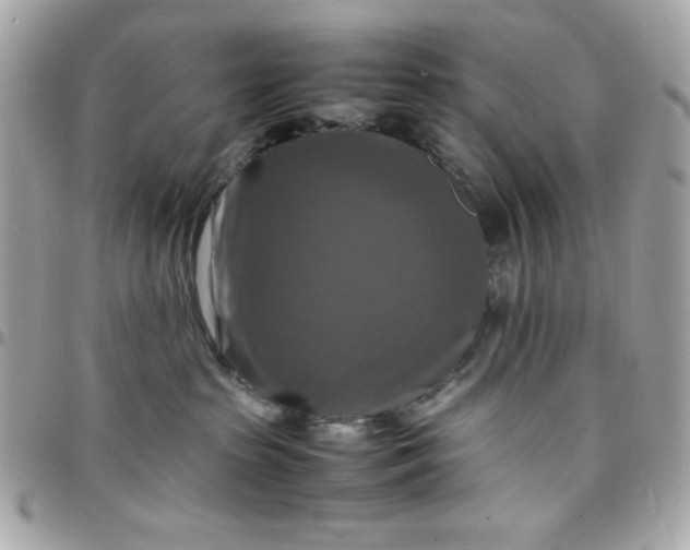 X0000097780285200803211806