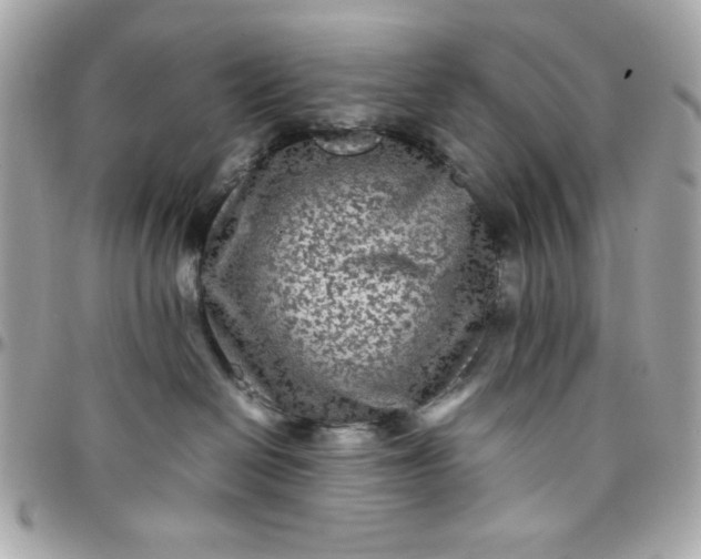 X0000097780286200803211806