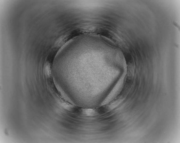 X0000097780287200803211806