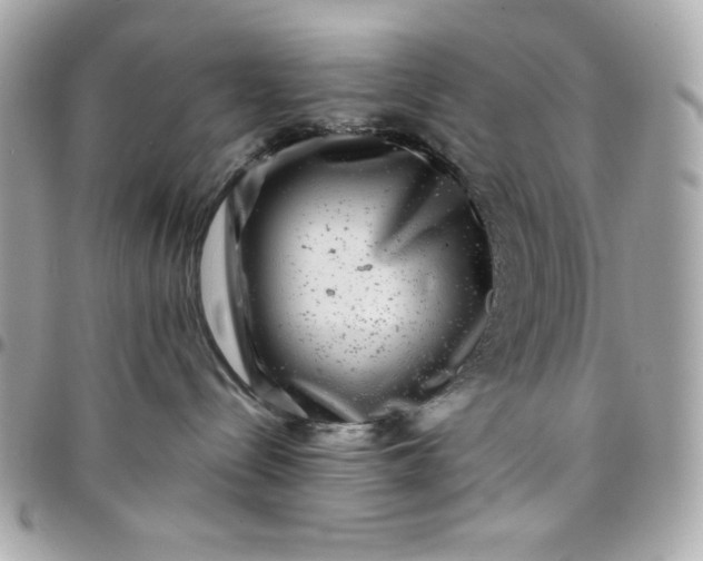 X0000097780288200803211806