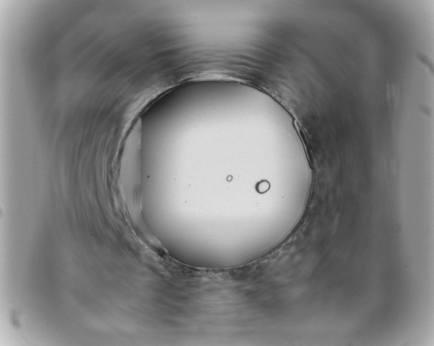 X0000097780289200803211805