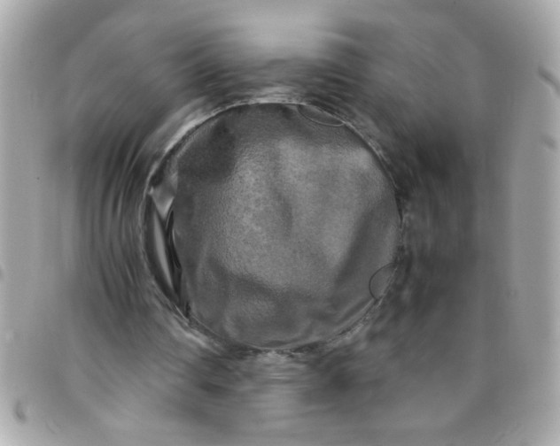 X0000097780290200803211805