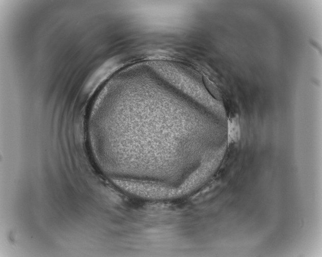 X0000097780291200803211805