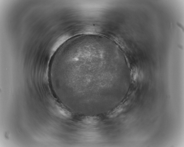 X0000097780292200803211805