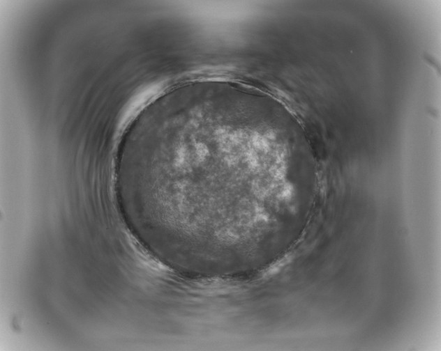 X0000097780293200803211805