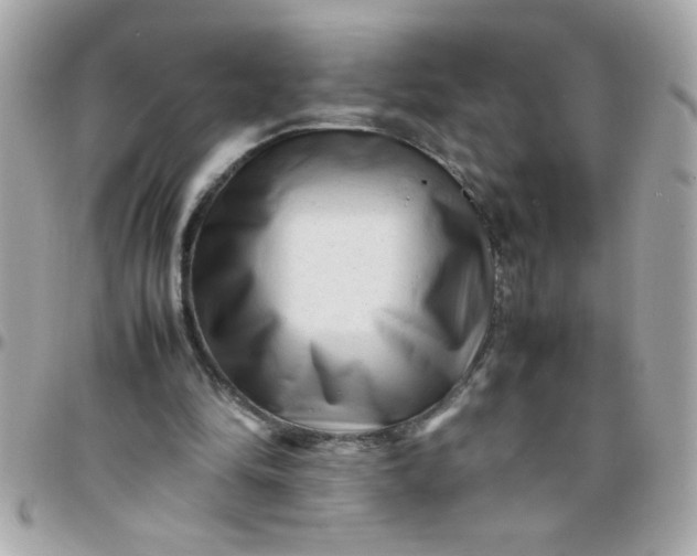 X0000097780294200803211805