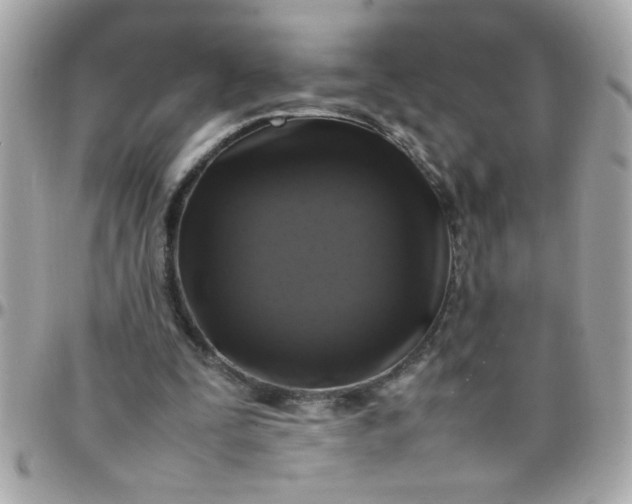 X0000097780295200803211805