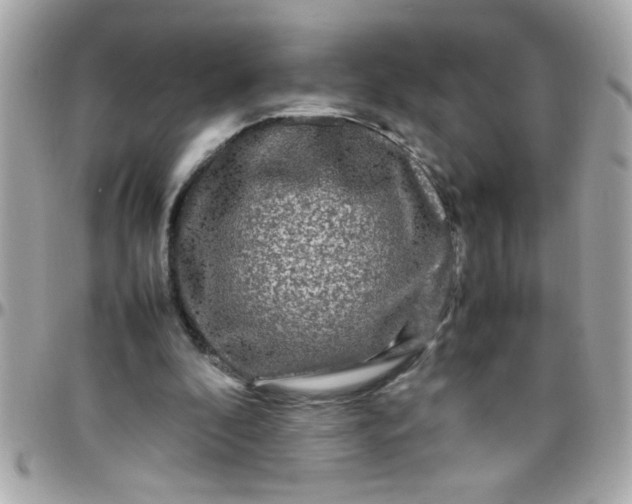 X0000097780296200803211805