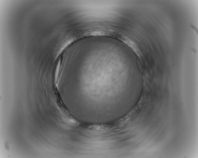 X0000097780297200803211805