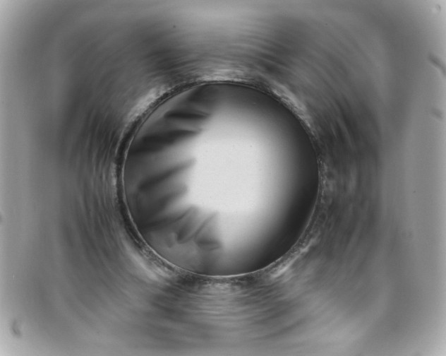 X0000097780298200803211805