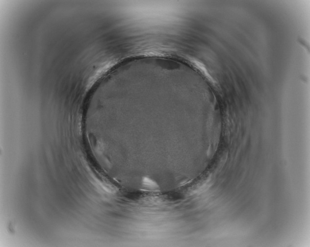 X0000097780299200803211805