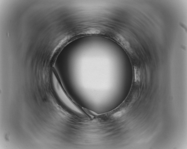 X0000097780300200803211805