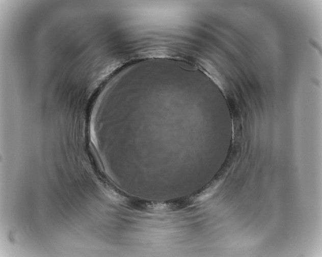 X0000097780301200803211805