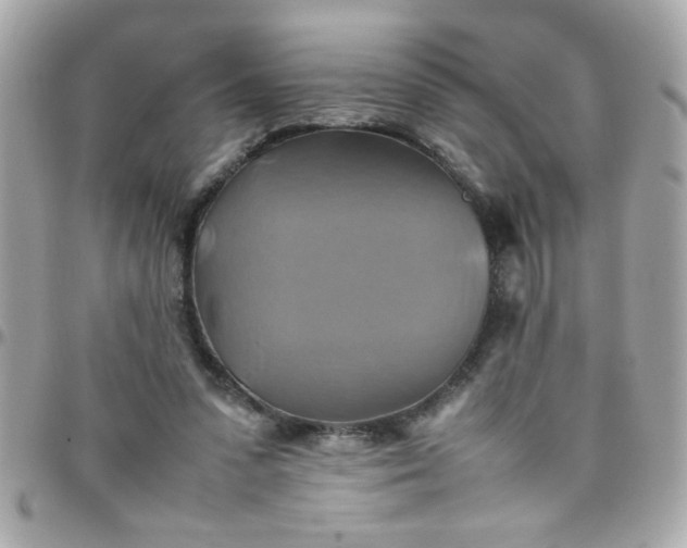 X0000097780303200803211805