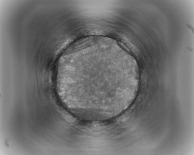 X0000097780305200803211805