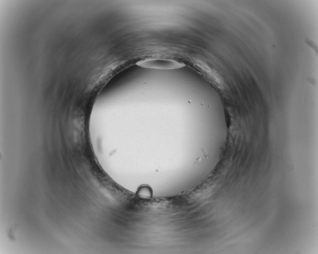 X0000097780306200803211805