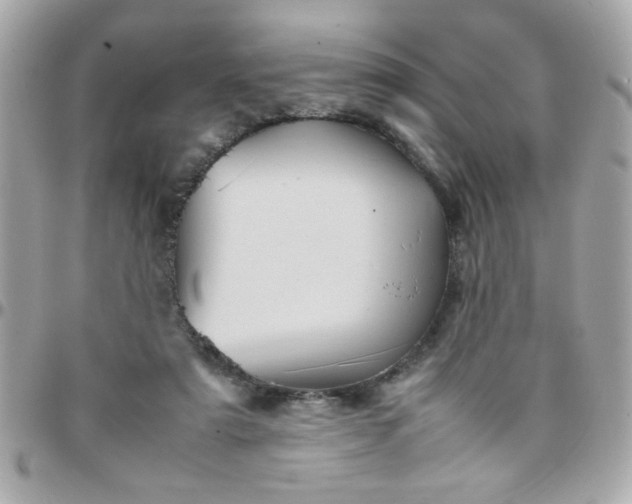 X0000097780307200803211805