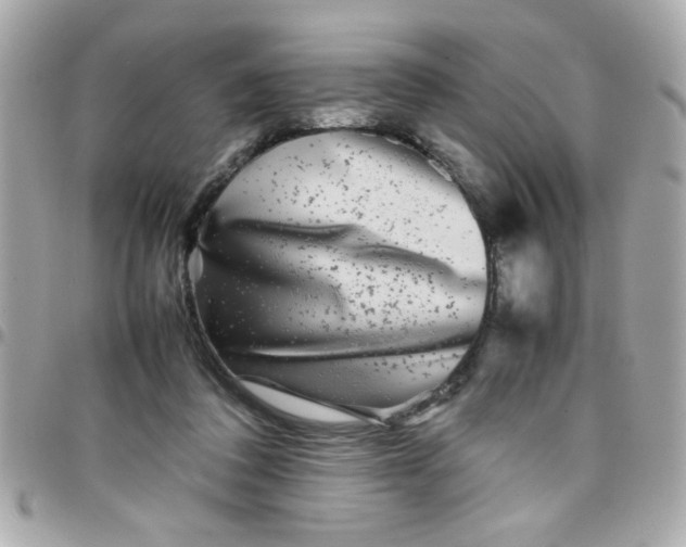 X0000097780308200803211805