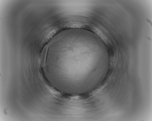 X0000097780309200803211805