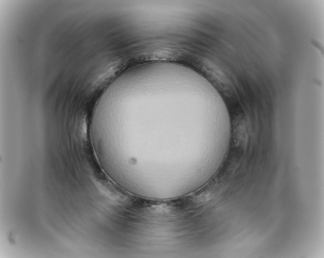 X0000097780310200803211805