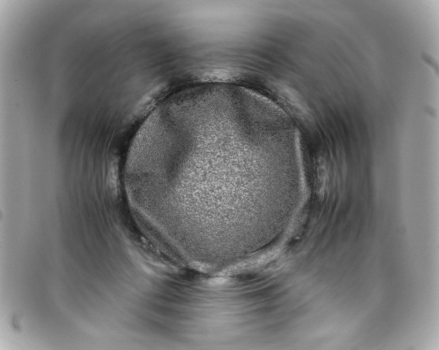 X0000097780312200803211805