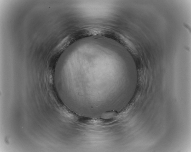 X0000097780313200803211805