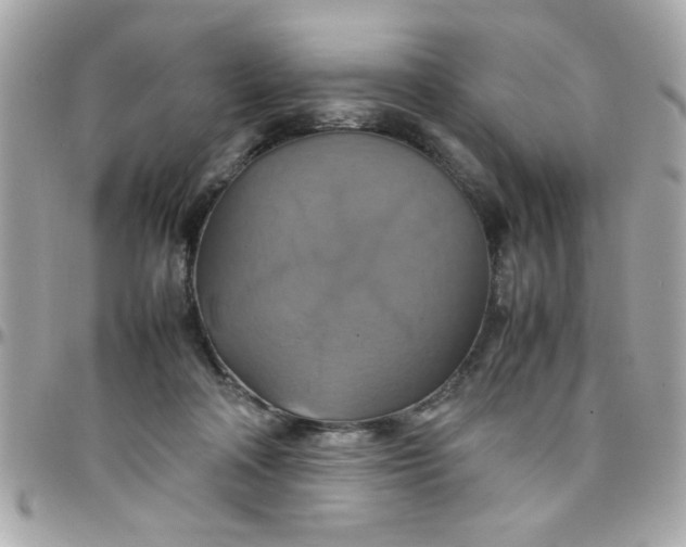 X0000097780314200803211805