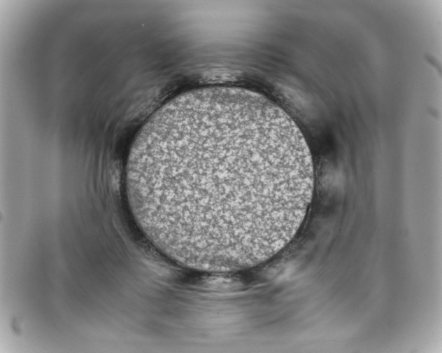 X0000097780315200803211805