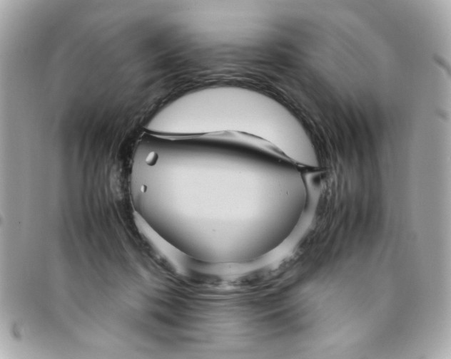 X0000097780316200803211805