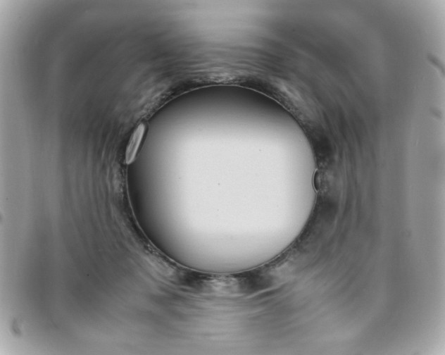 X0000097780317200803211805