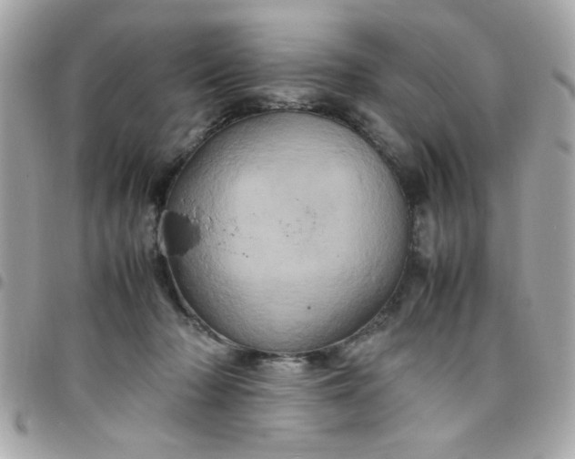 X0000097780318200803211805