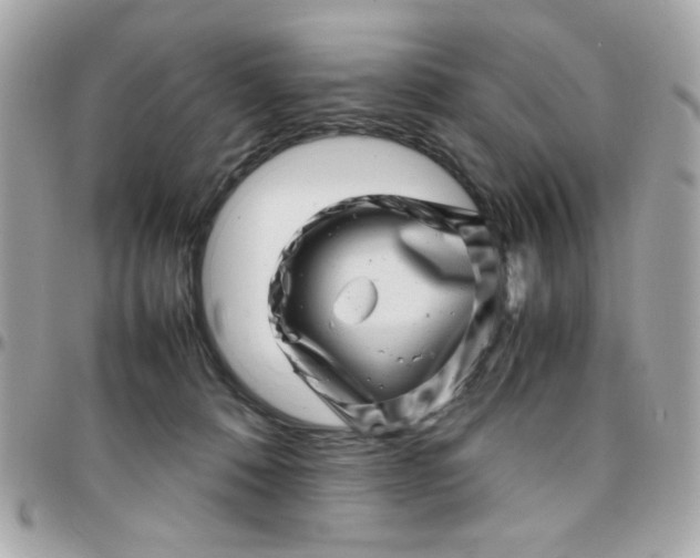 X0000097780320200803211804