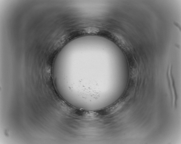 X0000097780321200803211804