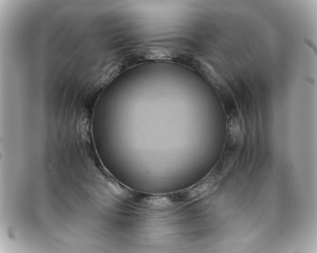 X0000097780322200803211804