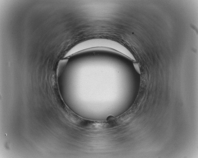 X0000097780323200803211804