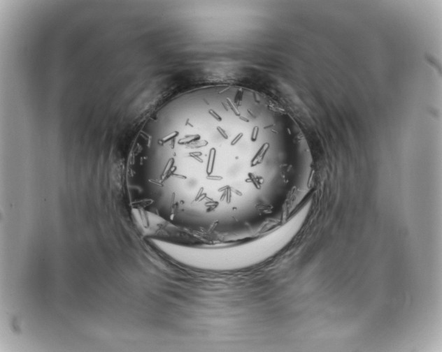 X0000097780325200803211804