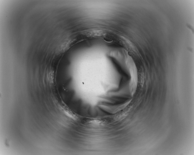 X0000097780326200803211804