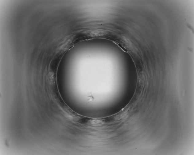 X0000097780327200803211804