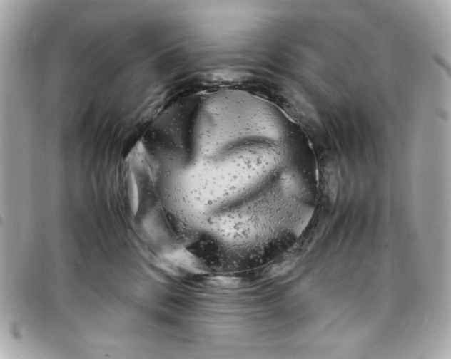 X0000097780328200803211804